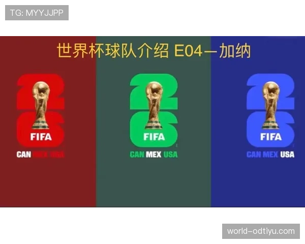 加纳世界杯新闻:末轮输球无缘淘汰赛资格 加纳世界杯新闻:末轮输球无缘淘汰赛资格